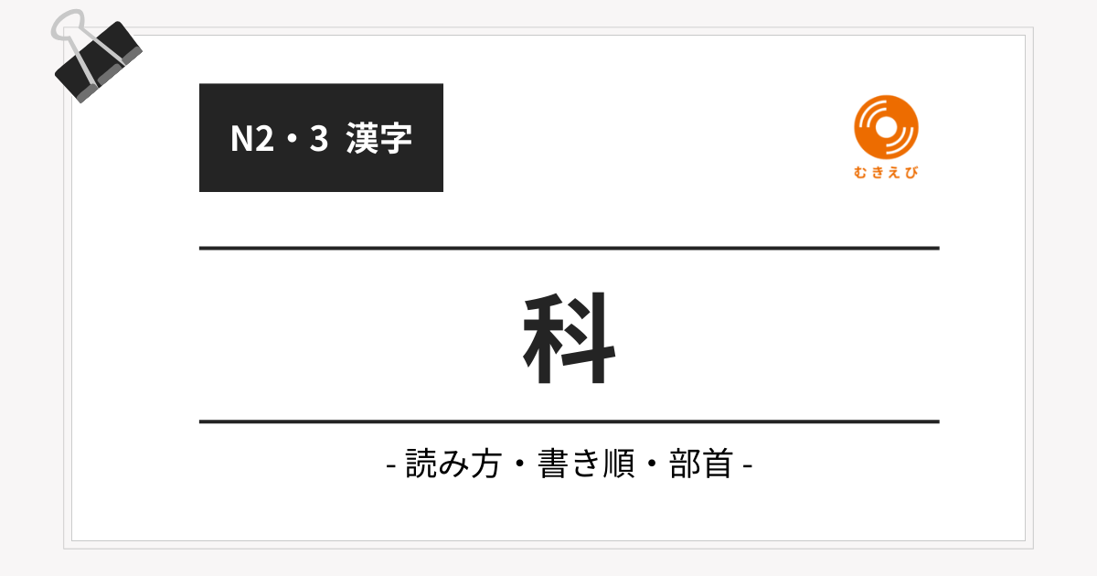 【JLPT N3】「科」の例文・文法解説